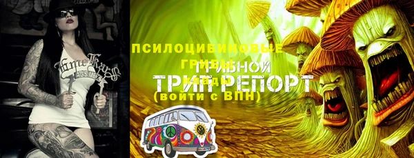 прущий лед Богородицк