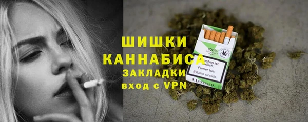 прущий лед Богородицк