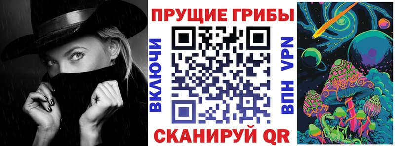 Псилоцибиновые грибы Psilocybe  Череповец 
